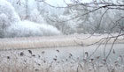 Winter in Holstein