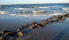 Strandbild