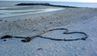 Ein Tau in Herzform lieg am Schönberger Strand